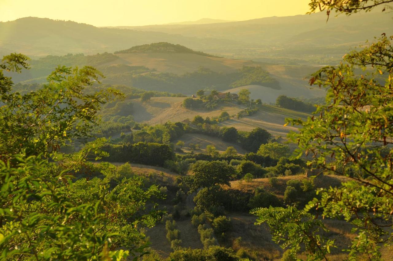 Castello Ginori Di Querceto Appartement Buitenkant foto